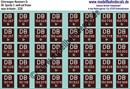 "Nass-Schiebebilder: 20x2 Güterwagennummern DB Gr 20, Weiss auf Braun. Artikel-Nummer: 3220"